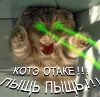 Просмотр профиля: Кедр